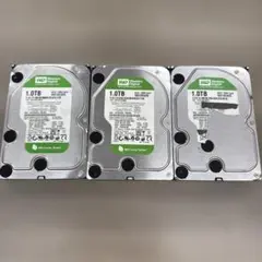 WDC SATA 3.5インチHDD SATA 1000GB 1TB