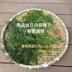 Item thumbnail for item c6b58756-4d3f-4c35-badf-5de29af22167