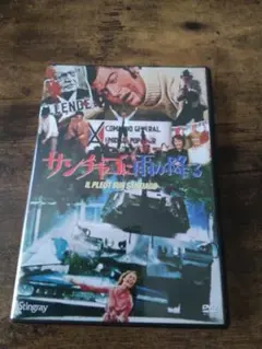サンチャゴに雨が降る DVD