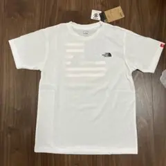 THE NORTH FACE アメリカ国旗 Tシャツ 新品
