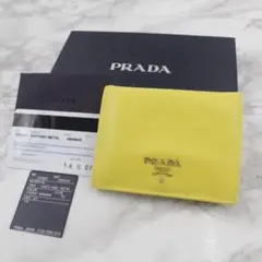 【極美品カード付き✨激レア/超稀少カラー】PRADA プラダ カードケース