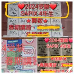 SAPIX 6年　理科 デイリーステップ　一年分 2025年最新】デイリーステップ 理科の人気アイテム - メルカリ