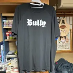LS BULLY ALBUM TEE サイズ3 2025年最新】kanye west bullyの人気アイテム - メルカリ
