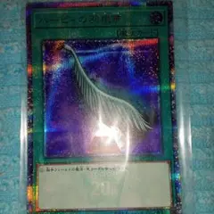 ハーピィの羽根帚 魔法カード