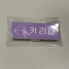 SMTOWN LIVE 2025 ネームバッジ aespa カリナ