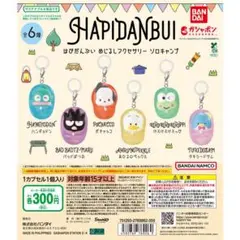 はぴだんぶい　メジルシアクセサリー　ソロキャンプ