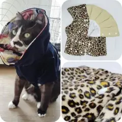 Item thumbnail for item e36a9fea-5961-446d-81b5-af30d193ce19