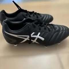 ASICS DS LIGHT ブラック/ホワイト スパイク　25cm