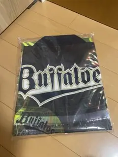 オリックス・バファローズ 法被