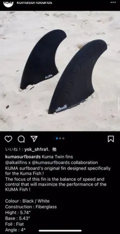 海外取り寄せ‼️ クマフィッシュ フィン フューチャー ツイン アルカリ