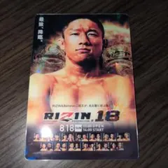 RIZIN ポテトスティック　ポスターカードコレクション　堀口恭司　カード