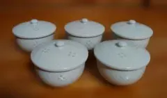 Item thumbnail for item 1b9f90ad-a18a-4343-af1d-add784b5bef0