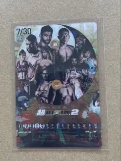 RIZIN ポテトスナック ポスターコレクション