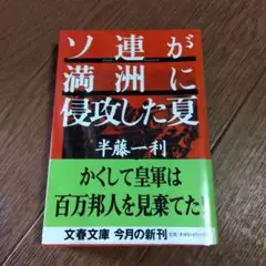 ◯ソ連が満洲に侵攻した夏