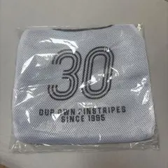 マリーンズ メッシュ応援ユニフォーム 30