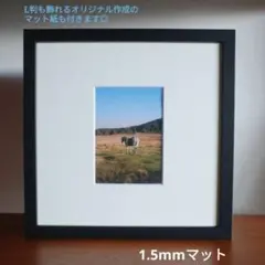 ikea SANNAHED 25×25 スクエア 額縁 フォトフレーム L判