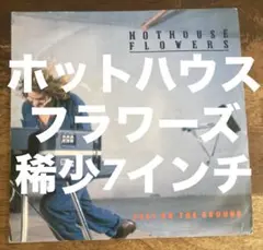 Item thumbnail for item 739252ef-1933-4eeb-8116-b9bf73eba701