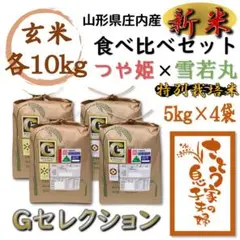新米 山形県庄内産 食べ比べセット 玄米20kg Gセレクション