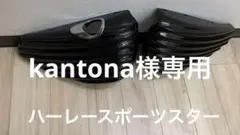 ハーレースポーツスター サイドカバー