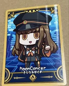 FGO コレクションカード　Fes フェス 2025 岸波白野