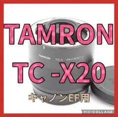 Item thumbnail for item fca641ee-671d-4cca-b5af-330282c53ee3