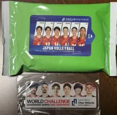 Item thumbnail for item da23aa17-fc28-4f8e-96bf-841ec5959107