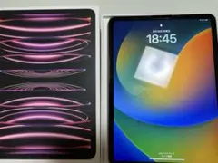 最大容量100% Apple iPad Pro 11インチ スペースグレー4世代