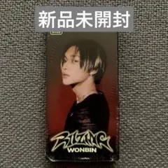 新品未開封 RIIZE RIIZING photopack ウォンビン