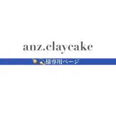 専用ページ