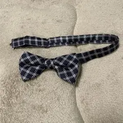 Item thumbnail for item 703a46ae-046e-4da1-9360-3db33fdce11f