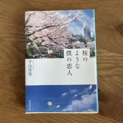 桜のような僕の恋人