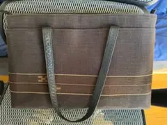 Item thumbnail for item c08f11e6-4f7b-4691-b81d-5b7bf6545aa0