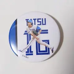 達孝太 北海道日本ハムファイターズ 缶バッジ