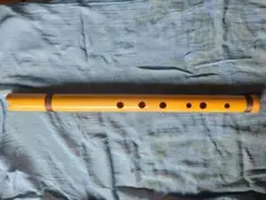Item thumbnail for item 4341ae09-b41f-4930-bfbb-c30f7054a5c4