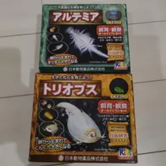 未開封 化石 飼育 オールインワンセット　キット　理科　生物　魚 自由研究