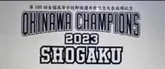 新品未開封　沖縄尚学 タオル