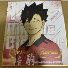 ハイキュー!! 黒尾鉄朗 ビジュアル色紙コレクション7 ミニ色紙