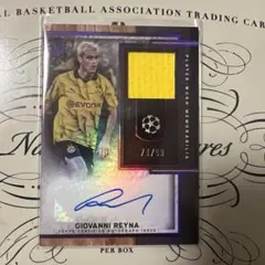 世界1枚限定！PANINI 1of1 REYNA レイナ ジャージカード メーカー 一覧 Amazon.co.jp: 世界1枚限定！PANINI 1of1 REYNA