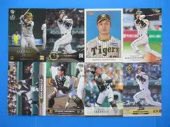 坂本誠志郎　８枚セット　阪神タイガース　BBM