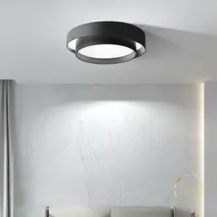 LEDシーリングライト 30cm ブラック おしゃれ 調光調色 LED 北欧