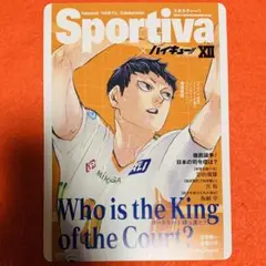 ハイキュー!!ショーセツバン Sportiva ビジュアルボード 影山飛雄②