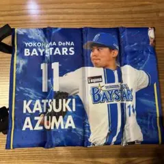 ベイスターズ　スタジアムシートクッション　東克樹投手