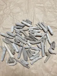 Item thumbnail for item 59e41fff-9926-4242-a5c2-508dddfbfaee