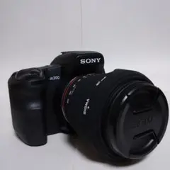 SONY α200 + SIGMA18-200mm F3.5-6.3