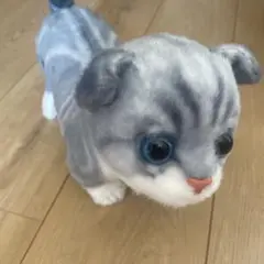 リアルねこ　ぬいぐるみ