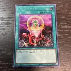 ワンフォーワン　シークレット