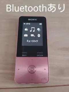 SONY ソニー ウォークマン NW-S313