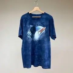 USED USA古着 ザマウンテン タイダイ 地球 Tシャツ vintage