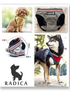 Item thumbnail for item 3cb5621e-7af9-49a7-b9ef-42cbf631ea1b