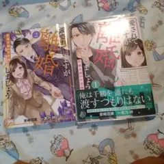 初版！透明カバー付！愛されていますが離婚しましょう～許嫁夫婦の片恋婚～2
